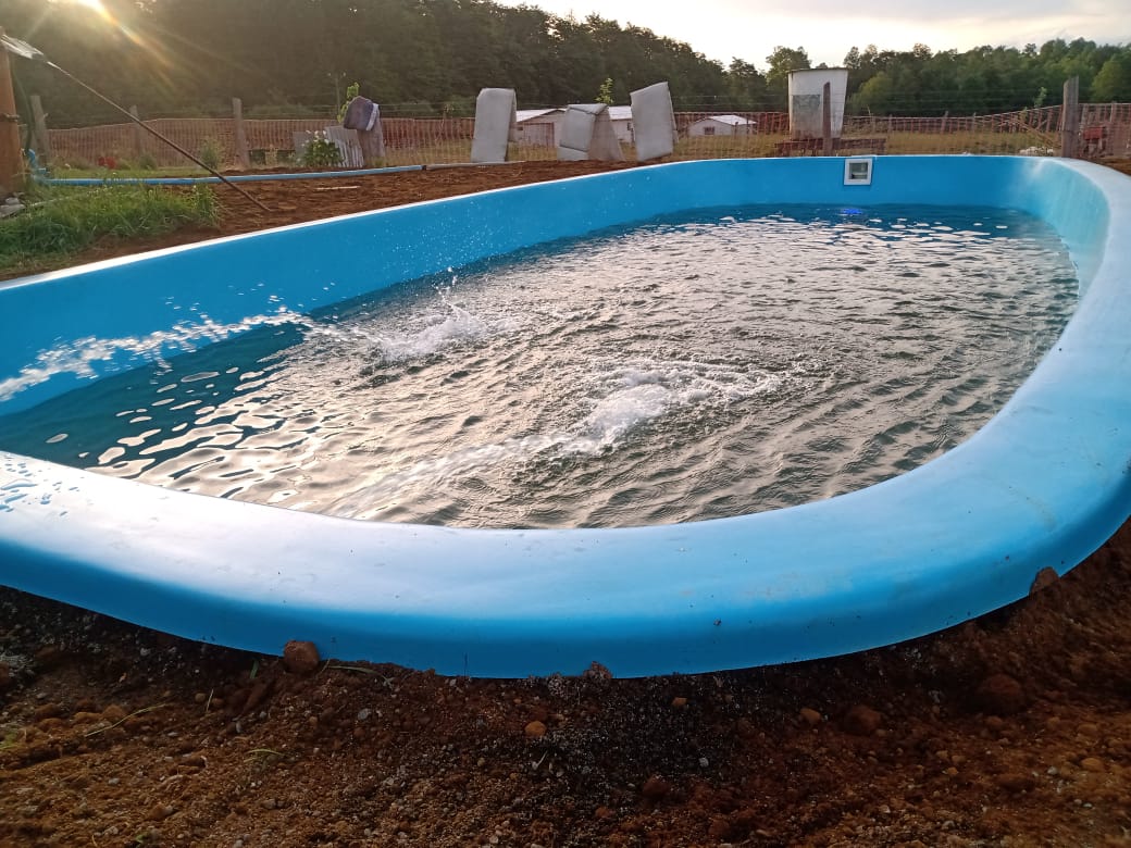 Piscina de Fibra de Vidrio Modelo Villarrica para Llevar - Piscineria